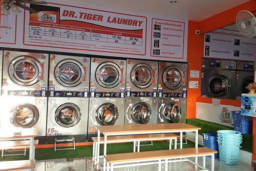 แฟรนไชส์ร้านสะดวกซัก เป็นเสือนอนกิน 24 ชม. เลือก DR.TIGER LAUNDRY